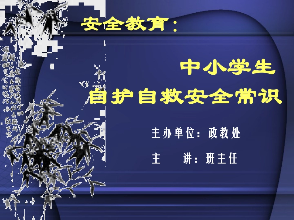 2025年教学资料：中小学生安全常识.ppt_第1页