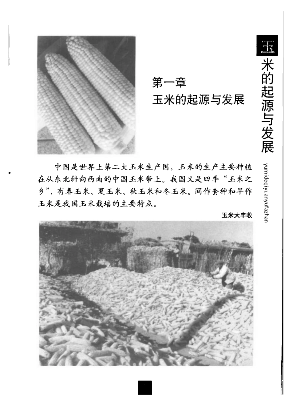 2025年农业领域资料：玉米与现代生活保健.pdf_第3页