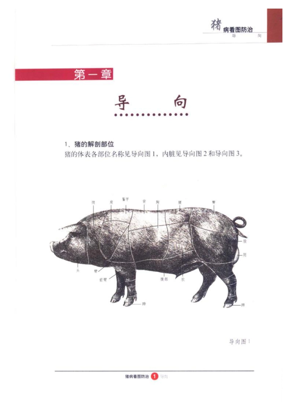 2025年农业领域资料：猪病看图防治.pdf_第3页