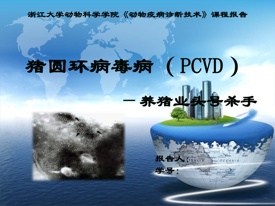 2025年医学资料：猪圆环病毒病海量图片.ppt_第1页