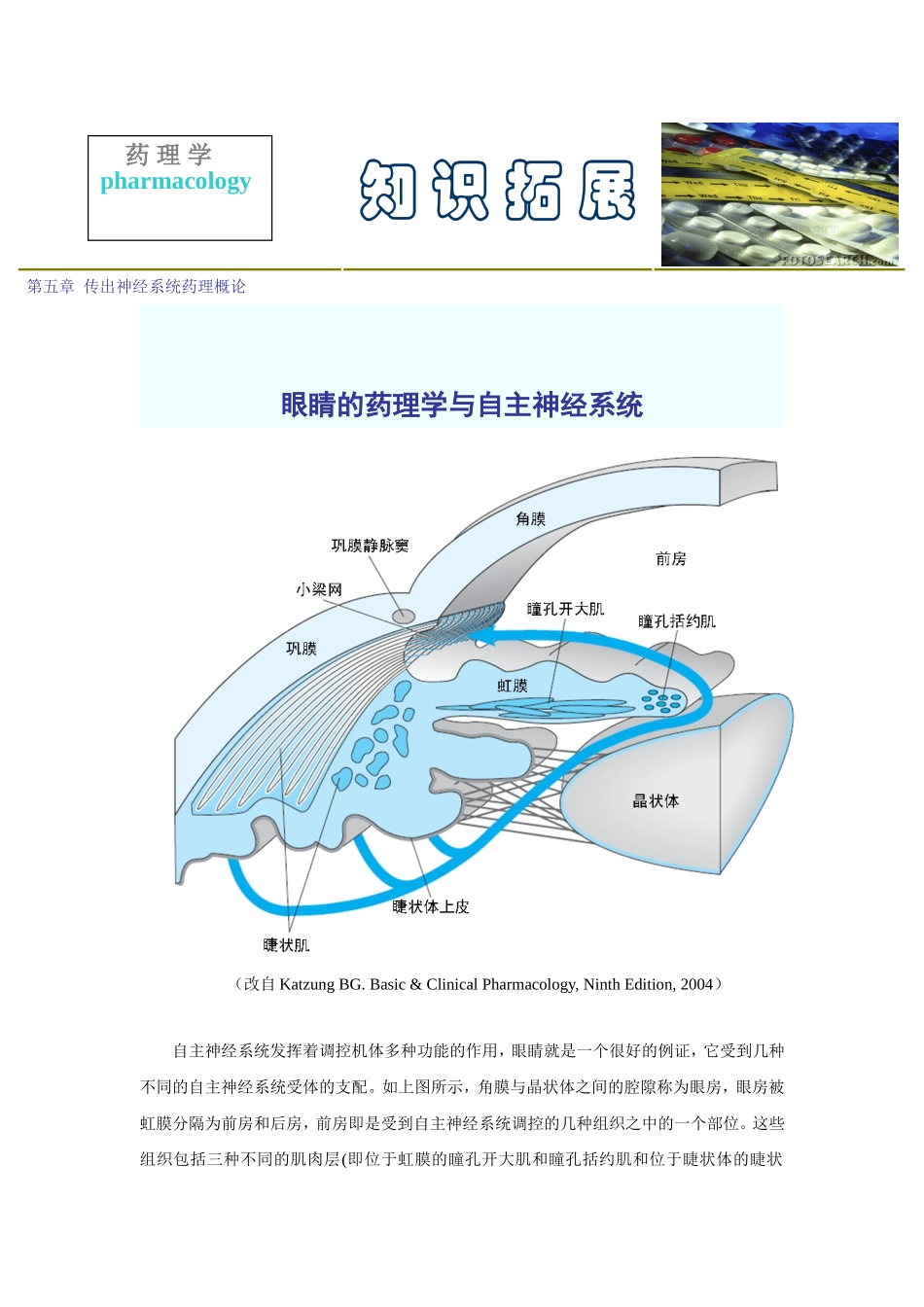 2025年医学资料：第五章  传出神经系统药理概论.doc_第1页