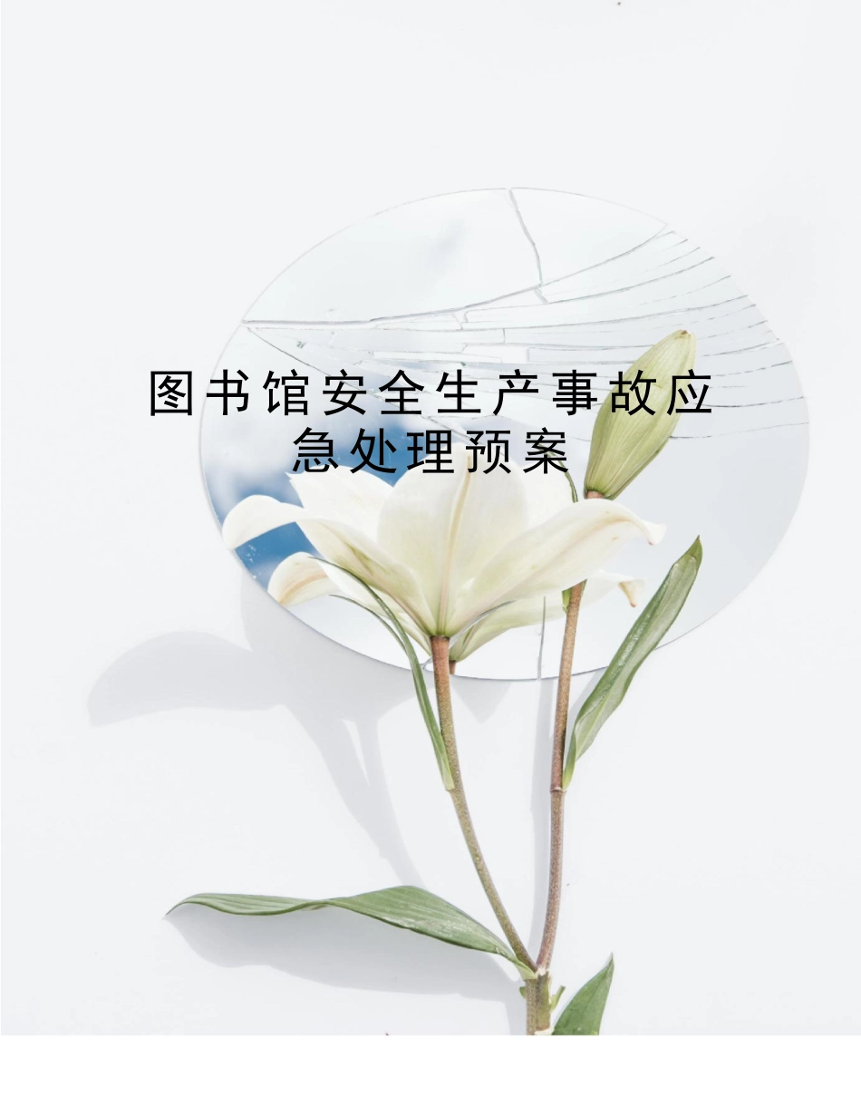 2025年应急管理：10.图书馆安全生产事故应急处理预案.docx_第1页