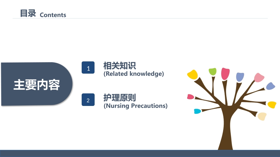 2025年医院护理课件：低蛋白血症的护理.pptx_第2页