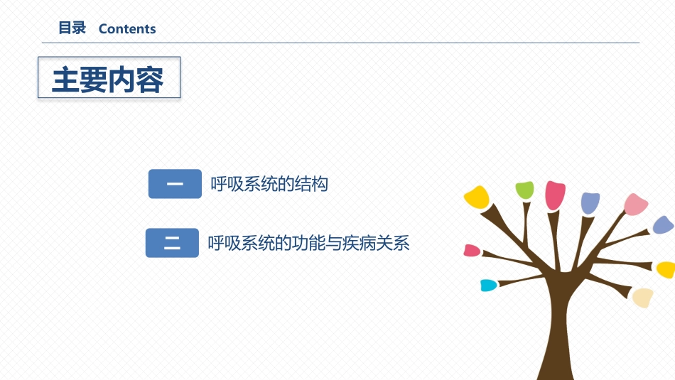 2025年医院护理课件：呼吸系统的结构功能与疾病关系.pptx_第2页