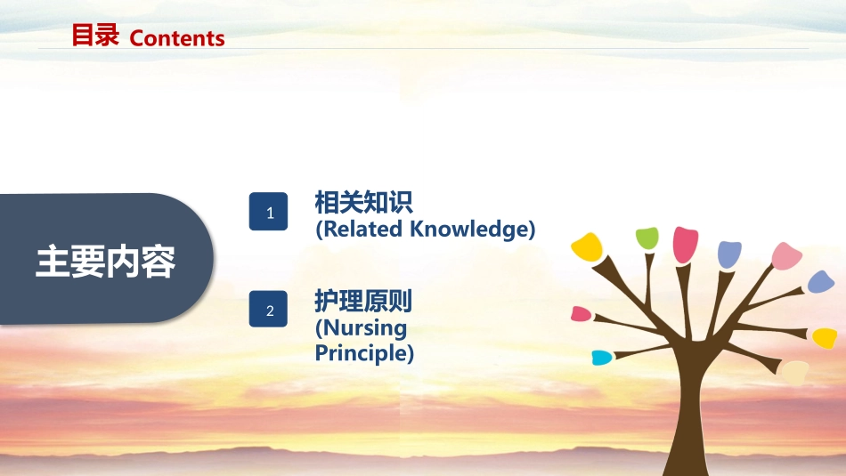 2025年医院护理课件：无痛分娩的护理业务学习.pptx_第2页