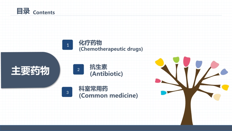 2025年医院护理课件：药物的不良反应及注意事项.pptx_第2页