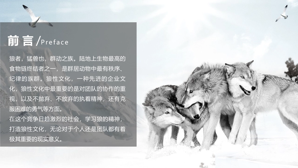 2025企业内部培训资料：17 狼性文化.pptx_第2页