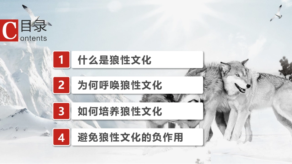 2025企业内部培训资料：17 狼性文化.pptx_第3页