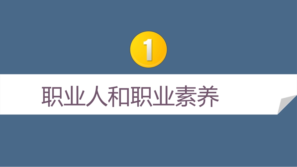 2025企业内部培训资料：17 职业化素养提升培训.pptx_第3页