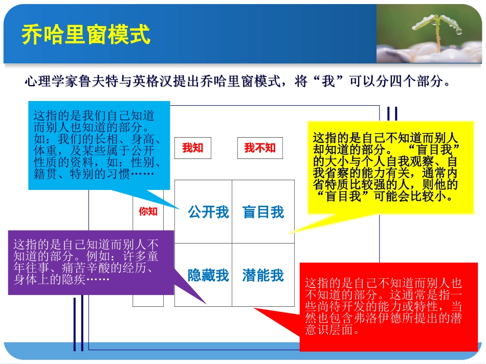 2025年初中心理教育课件：5 自我探索.ppt_第3页