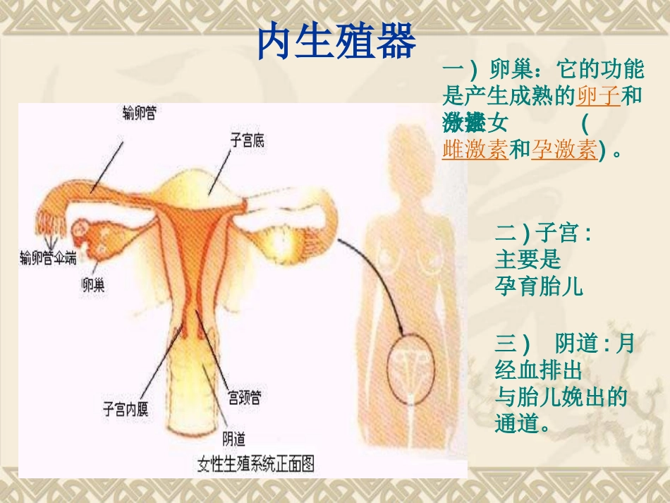 2025年初中心理教育课件：初中班会青春期卫生.ppt_第3页