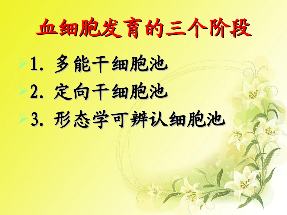 2025年慢性病知识讲座：儿童造血和血象特点(黄色版).ppt_第3页