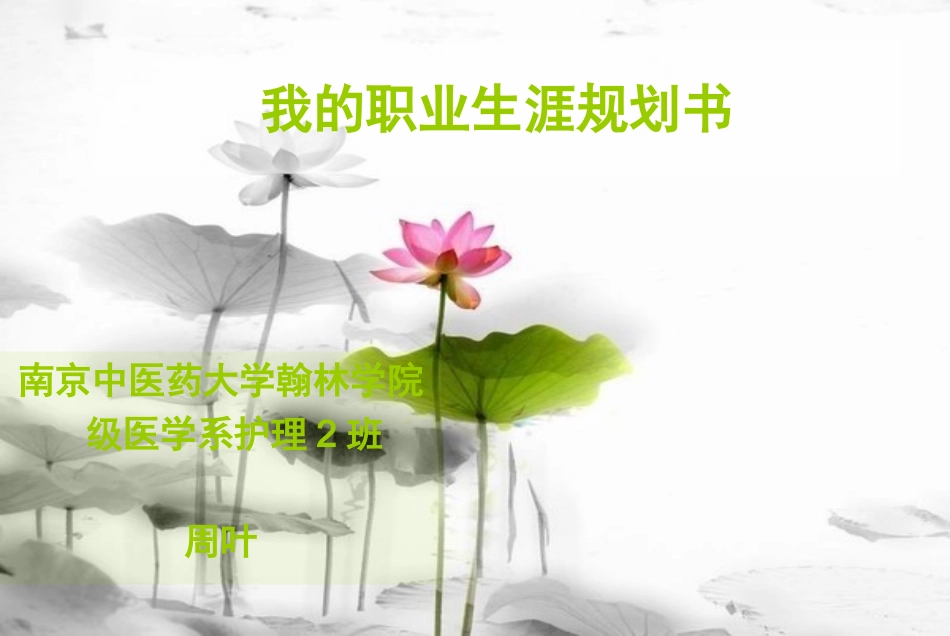 2025年大学生规划：大学生职业生涯规划ppt.ppt_第1页