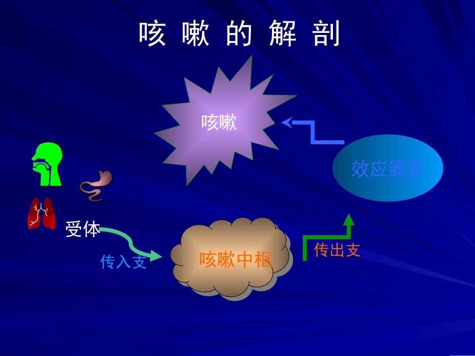 2025年慢性病知识讲座：小儿慢性咳嗽陈坤华PPT课件.ppt_第2页