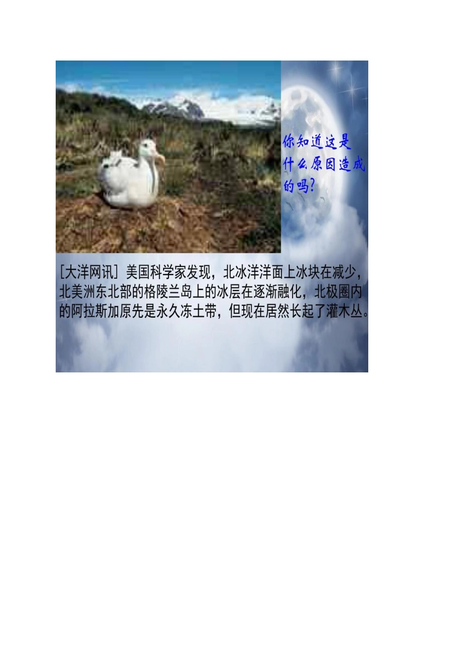 2025年小学实践活动教案：环境问题知多少.docx_第2页