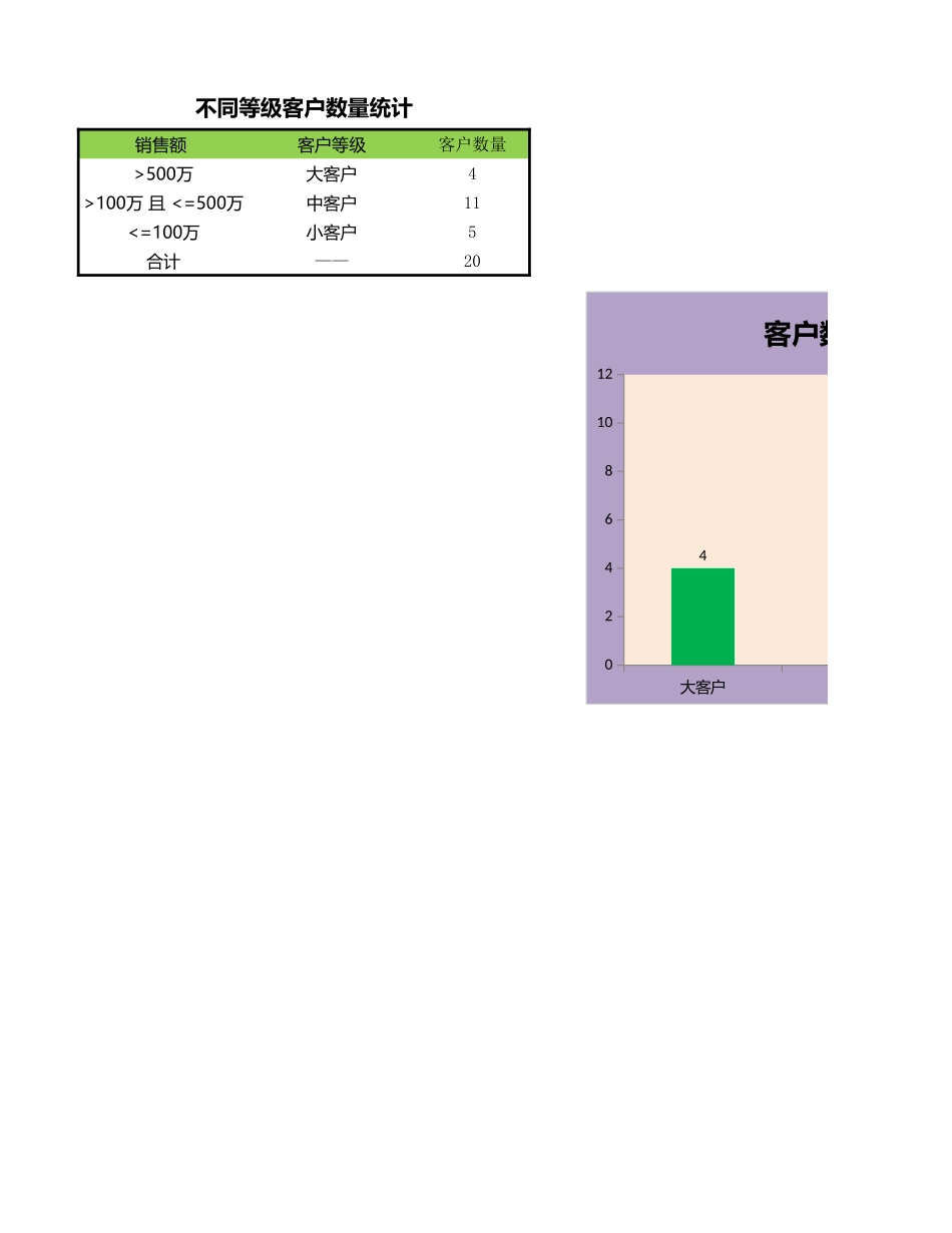 2025年公司管理表格：不同等级客户数量统计.xlsx_第3页