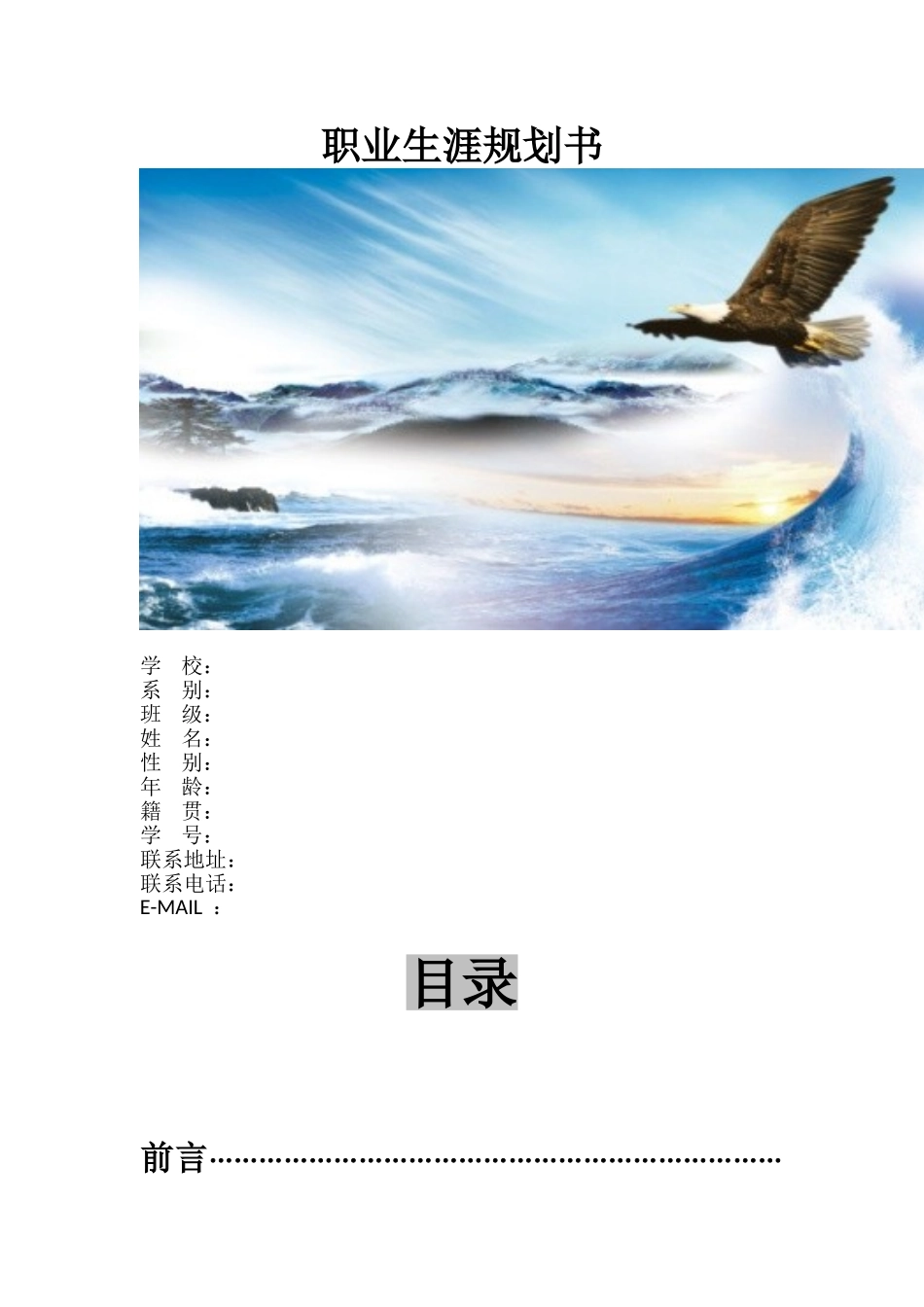 2025年大学生规划：网络工程师生涯规划.doc_第1页