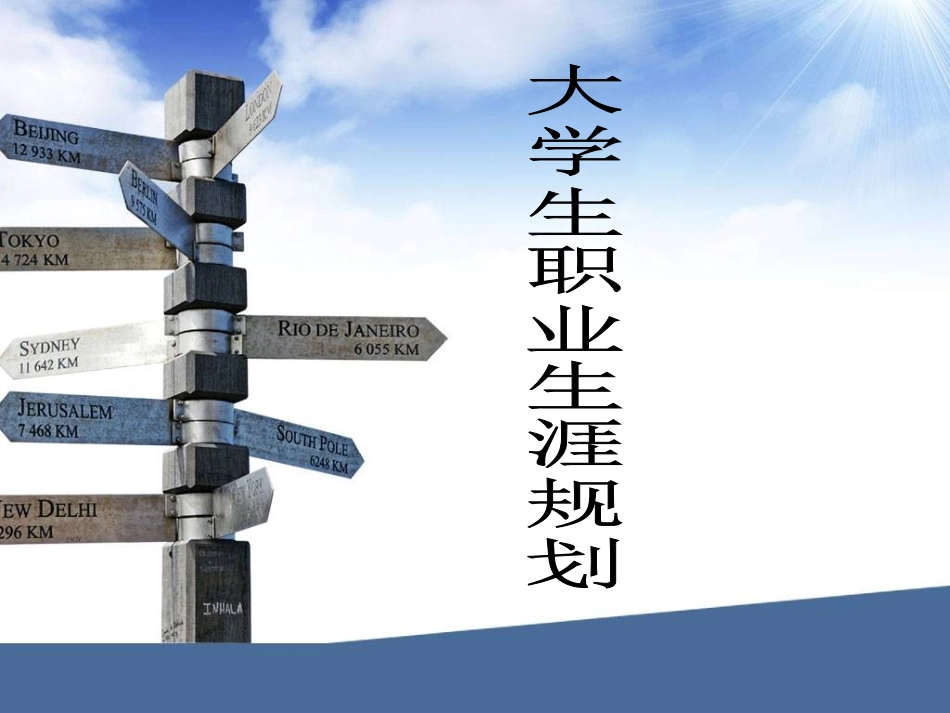 2025年大学生规划：有关IT专业职业生涯规划模板.ppt_第1页