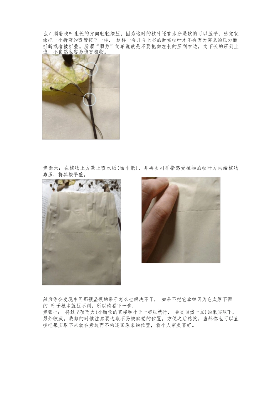 2025年小学实践活动教案：小学制作书签 教案.docx_第3页