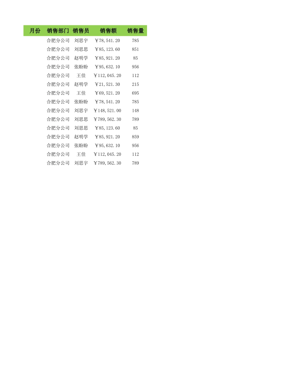2025年公司管理表格：筛选销售记录到新工作表.xlsx_第2页