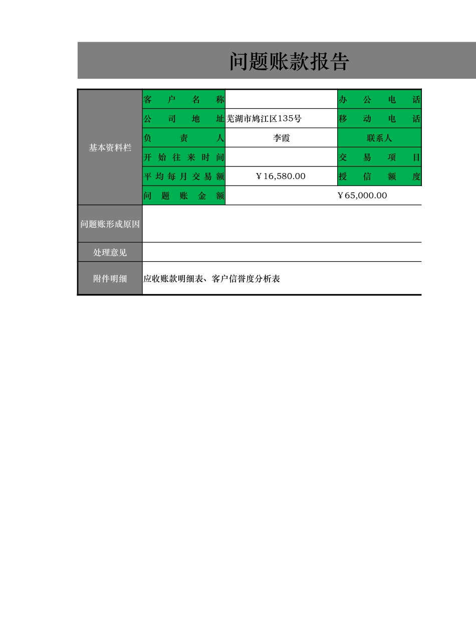 2025年公司管理表格：问题账款报告.xlsx_第1页