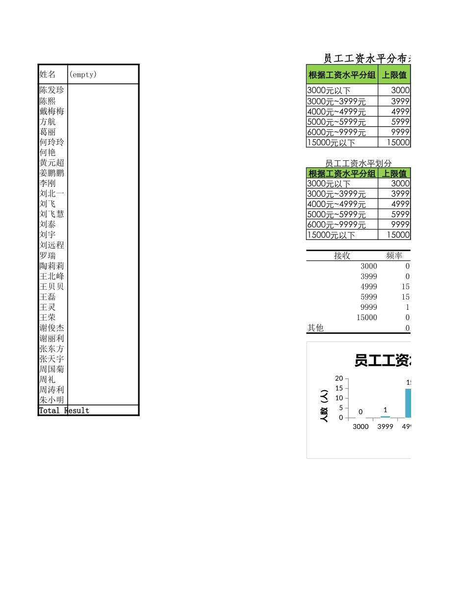 2025年公司管理表格：员工工资水平分布图.xlsx_第1页