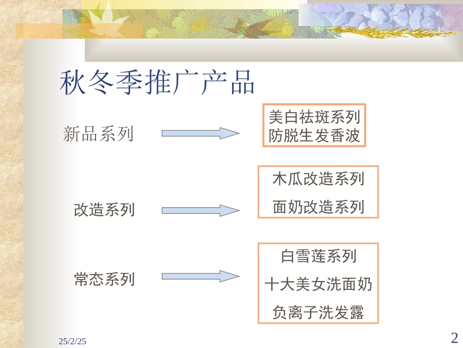 2025年销售技巧培训：索芙特秋冬季产品推广策划方案.ppt_第2页