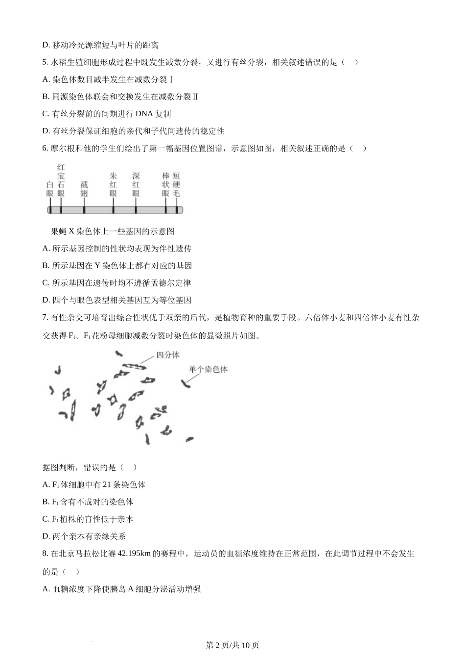 (官方发布)2024年高考生物真题（北京）（空白卷）.docx_第2页