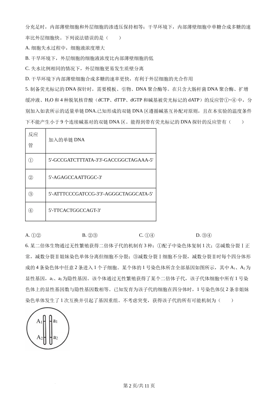 (官方发布)2024年高考生物真题（山东）（空白卷）.docx_第2页