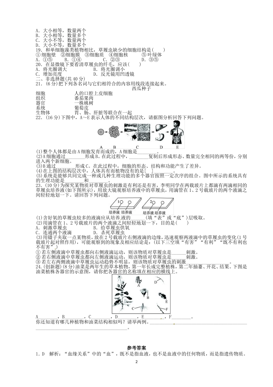 【人教版生物七年级上册单元卷1】2.2细胞怎样构成生物体.doc_第2页