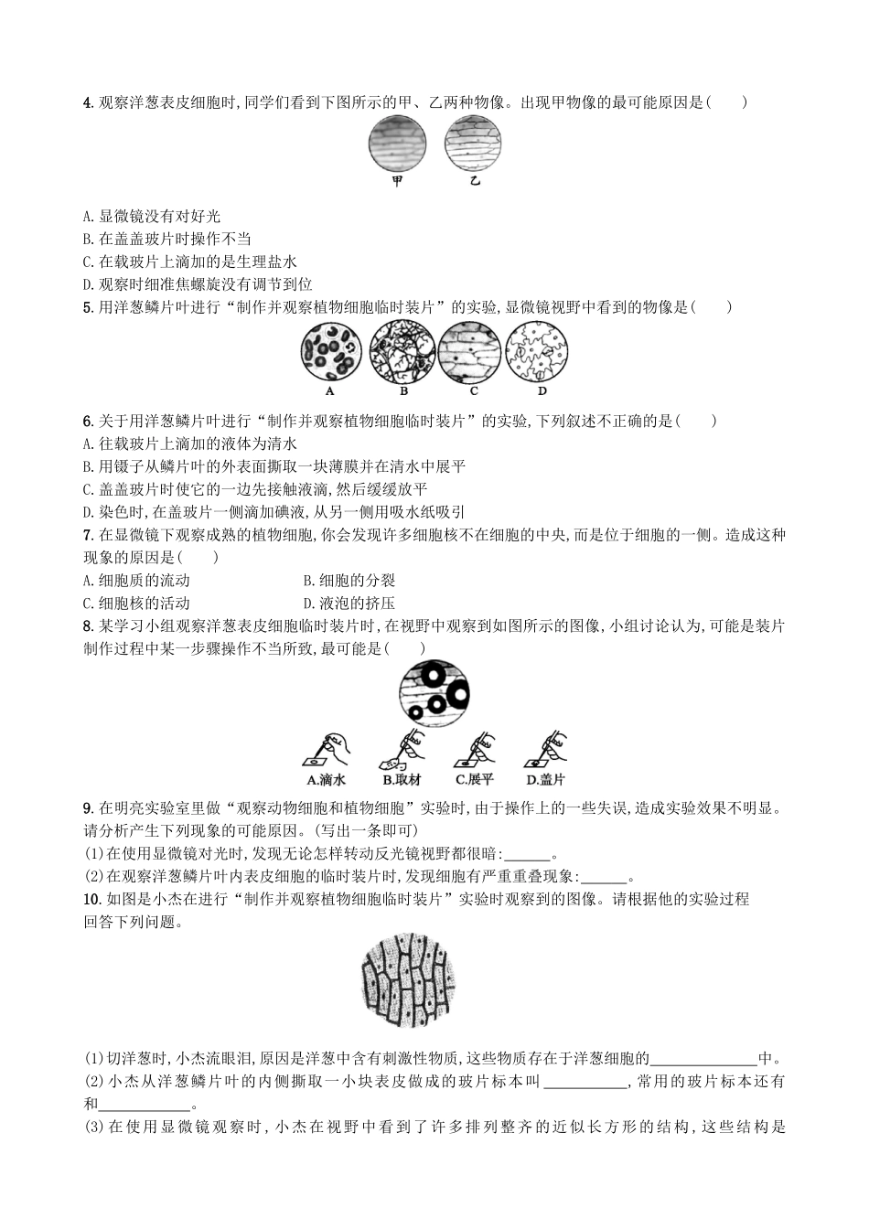 【人教版生物七年级上册课时检测卷】2.1.2 植物细胞.doc_第3页