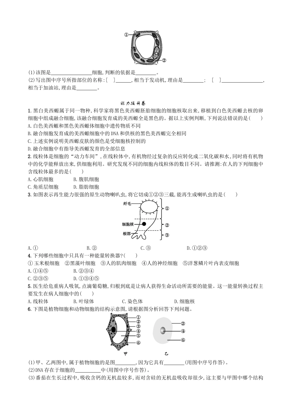 【人教版生物七年级上册课时检测卷】2.1.4 细胞的生活.doc_第2页