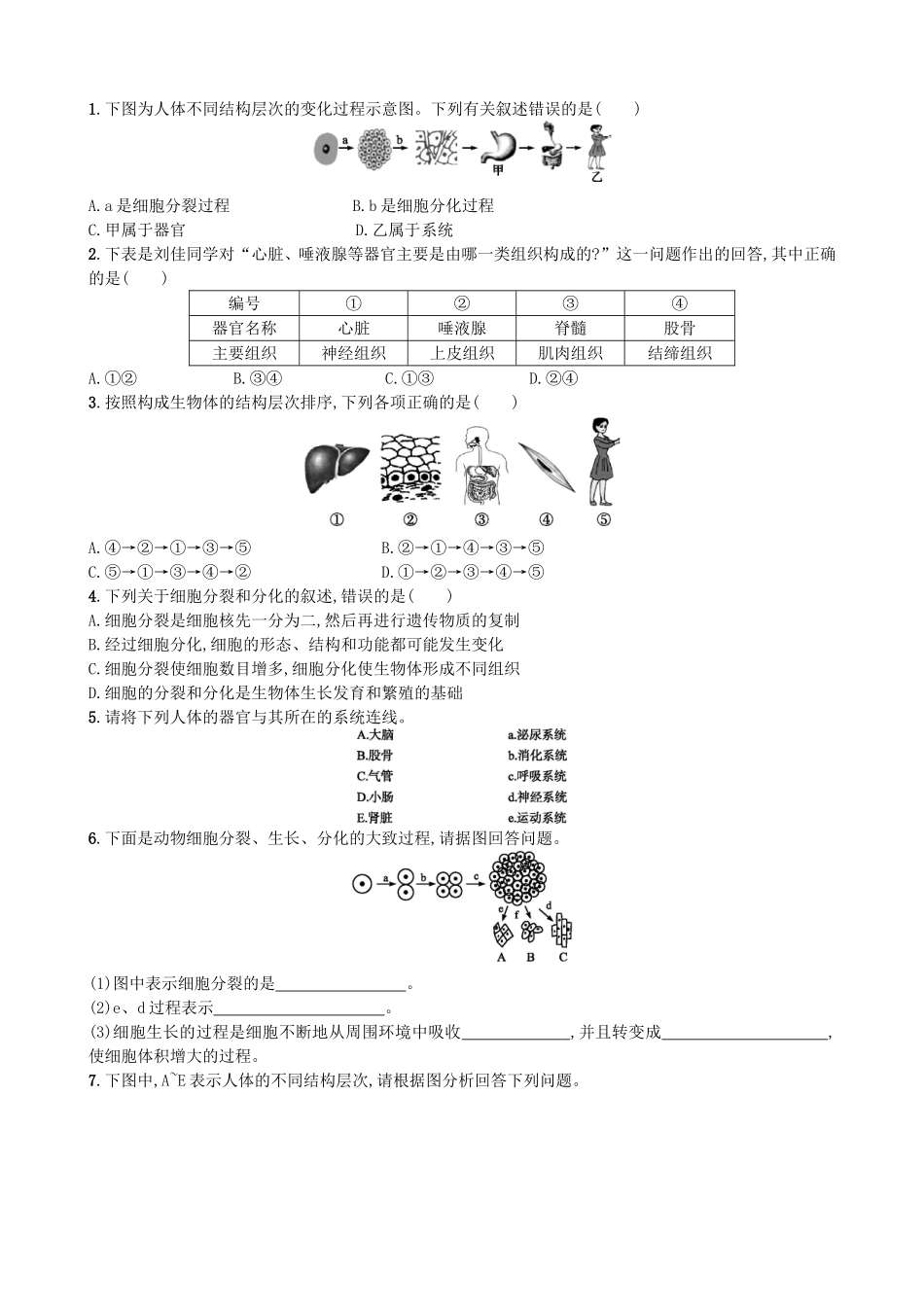 【人教版生物七年级上册课时检测卷】2.2.2 动物体的结构层次.doc_第2页