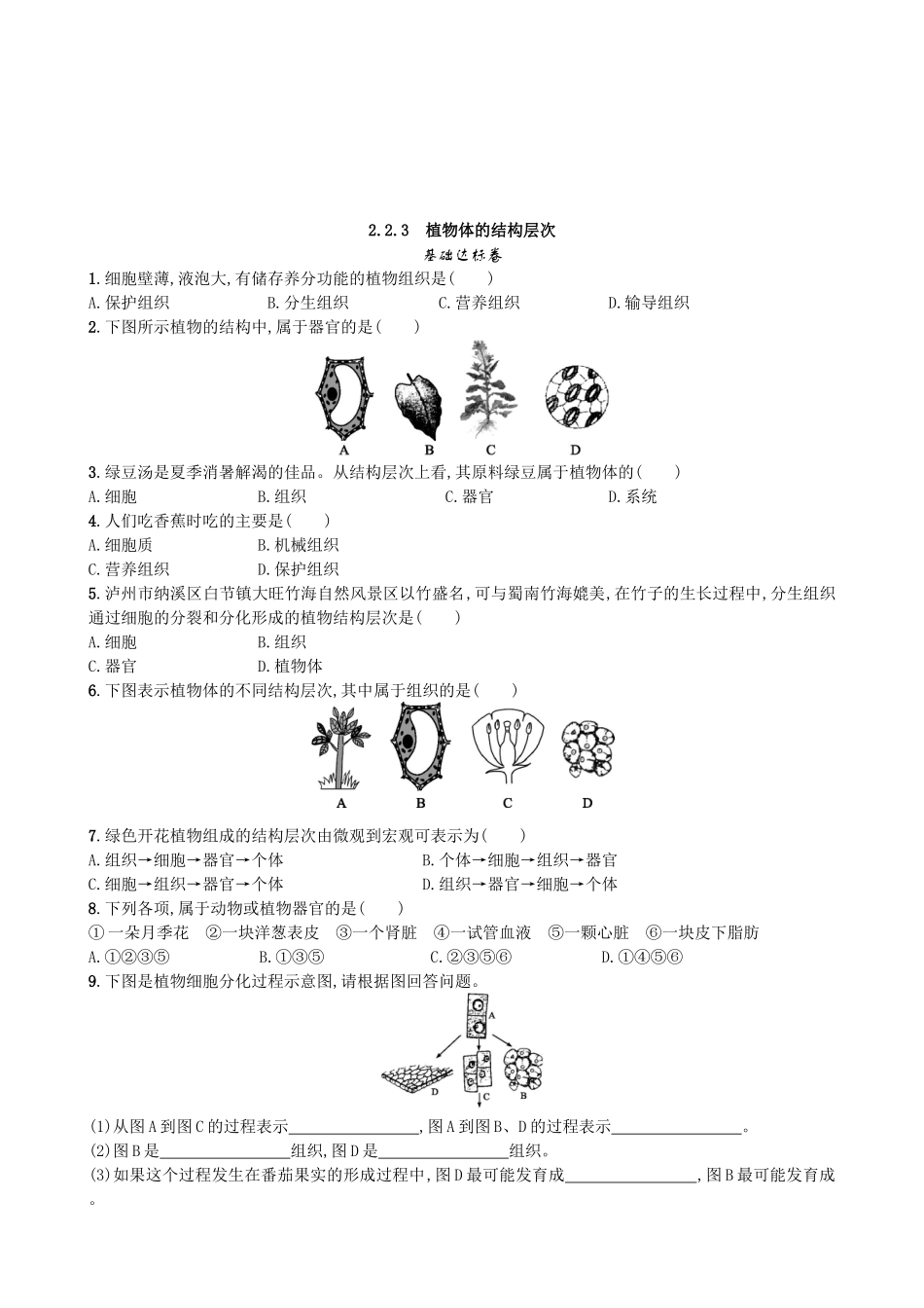 【人教版生物七年级上册课时检测卷】2.2.3 植物体的结构层次.doc_第1页