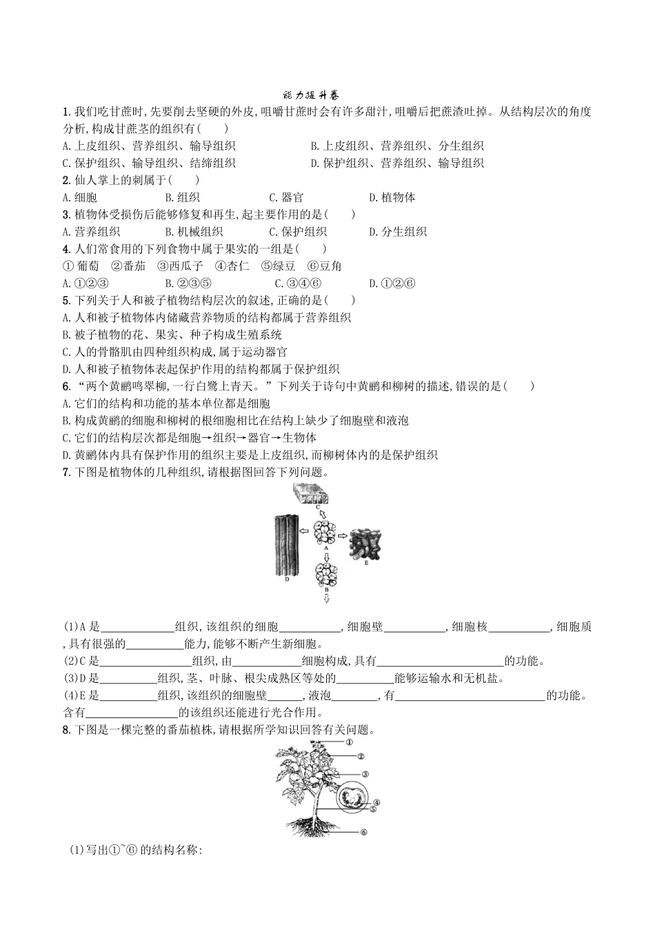 【人教版生物七年级上册课时检测卷】2.2.3 植物体的结构层次.doc_第2页