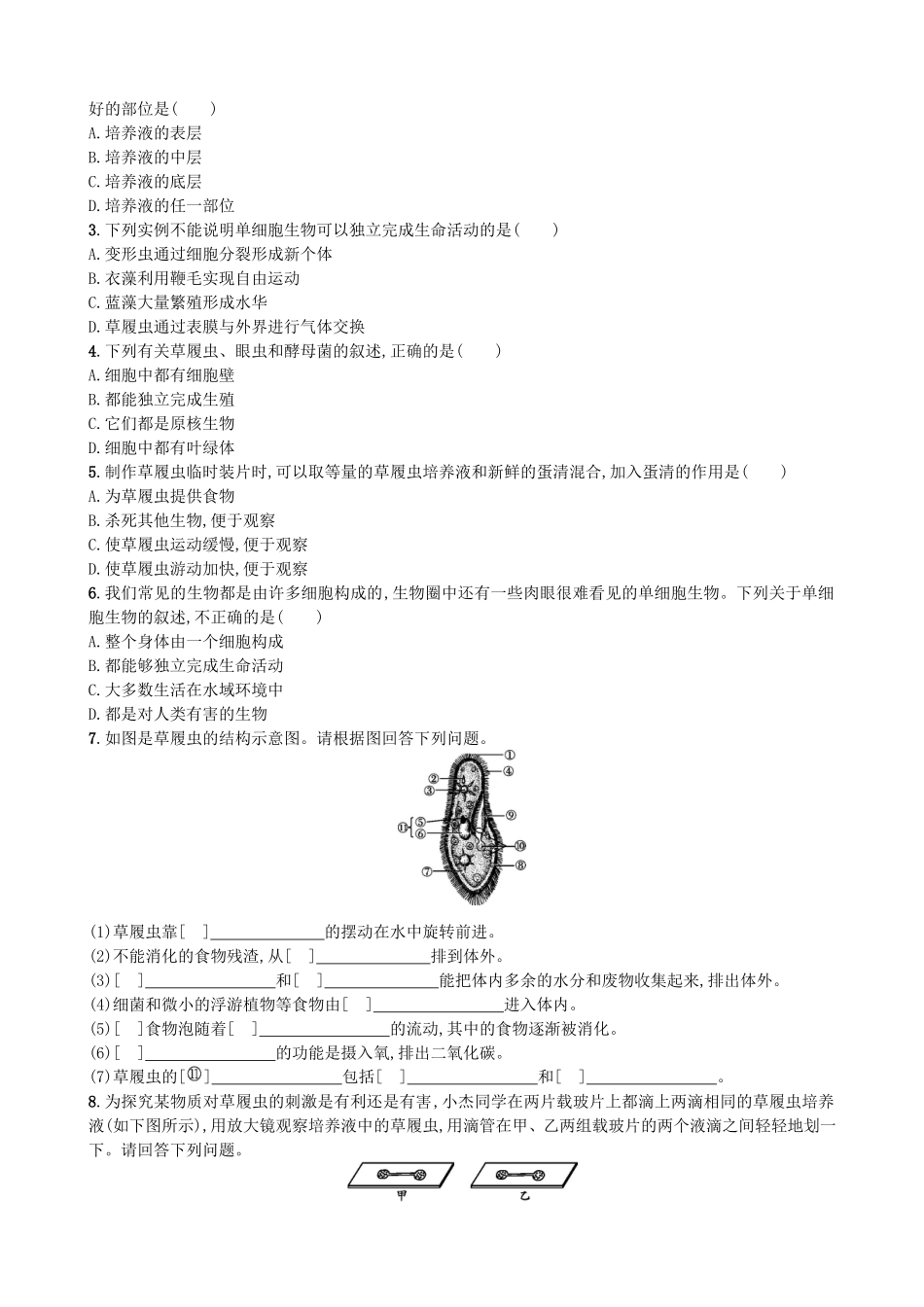 【人教版生物七年级上册课时检测卷】2.2.4 单细胞生物.doc_第2页