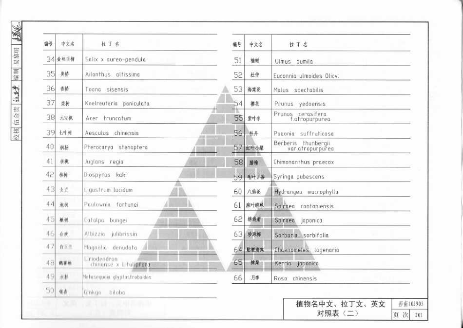 景观建筑、庭园绿化构造图集（西南10J903）_201-207.pdf_第3页