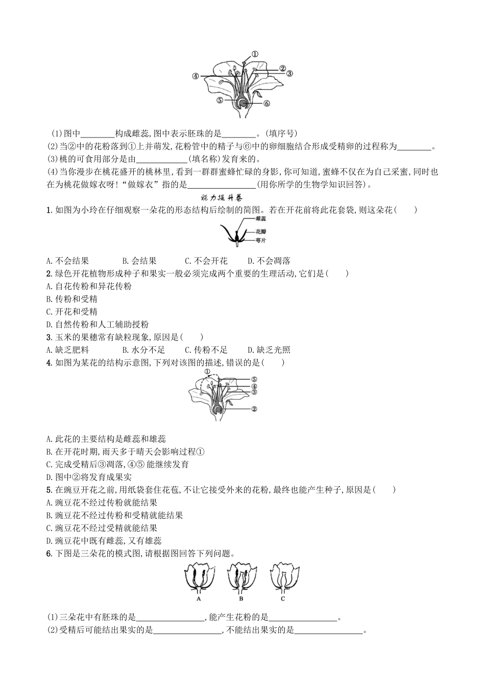 【人教版生物七年级上册课时检测卷】3.2.3 开花和结果.doc_第2页