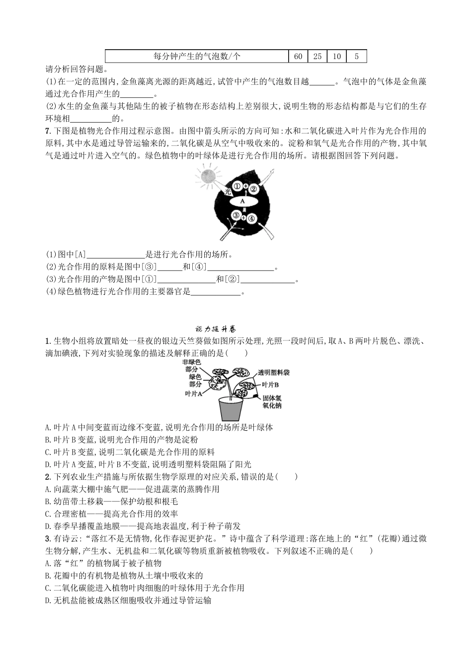 【人教版生物七年级上册课时检测卷】3.5.1 光合作用吸收二氧化碳释放氧气.doc_第2页