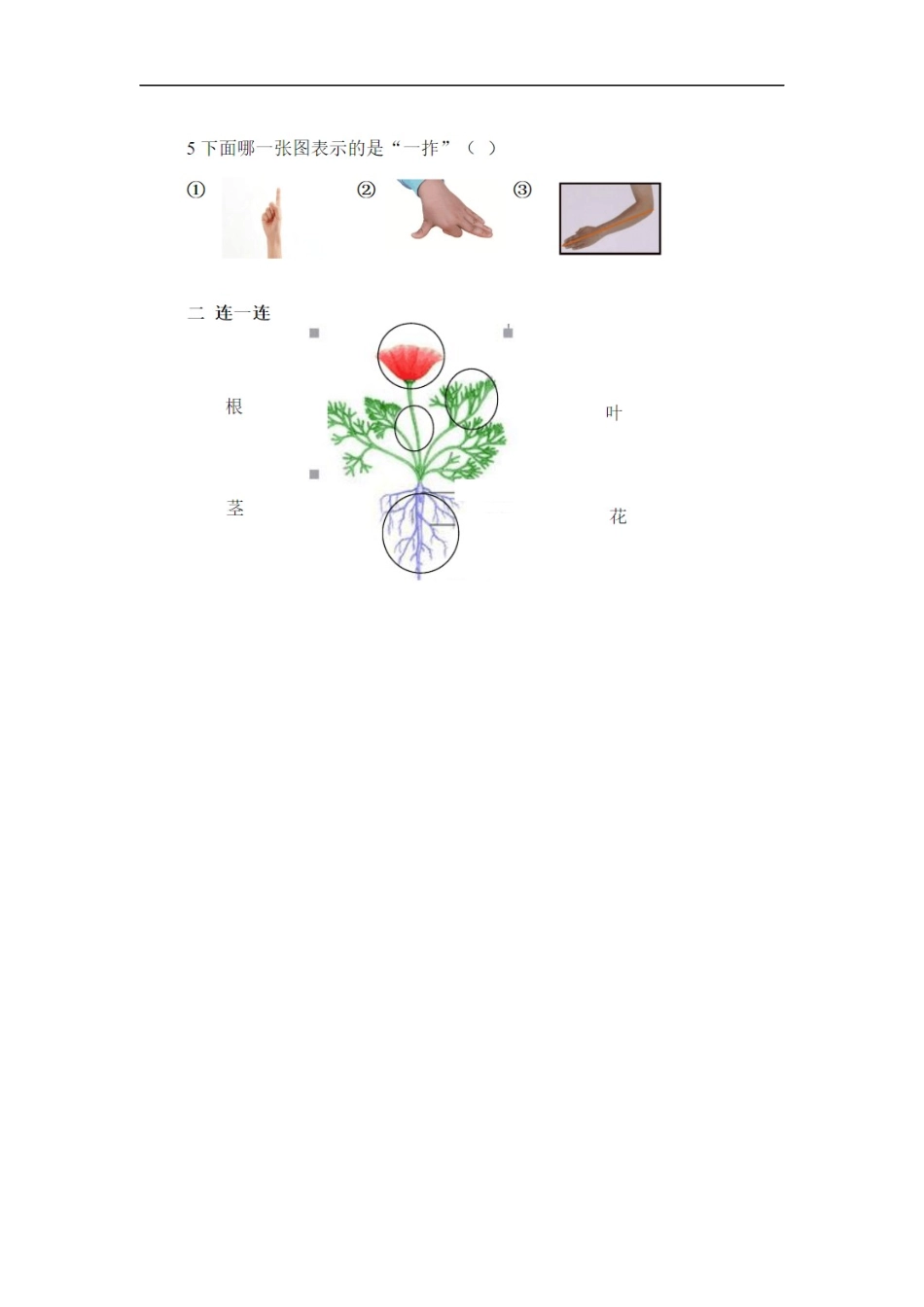 人教版一年级上册科学试题-期末考试试卷.docx_第2页