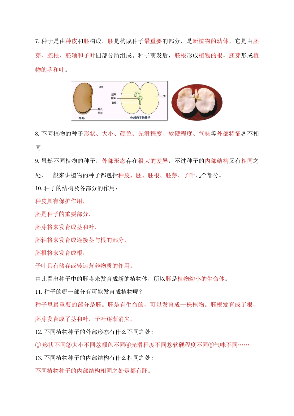 【教科版科学4年级下册知识点精编】知识点精编.docx_第2页