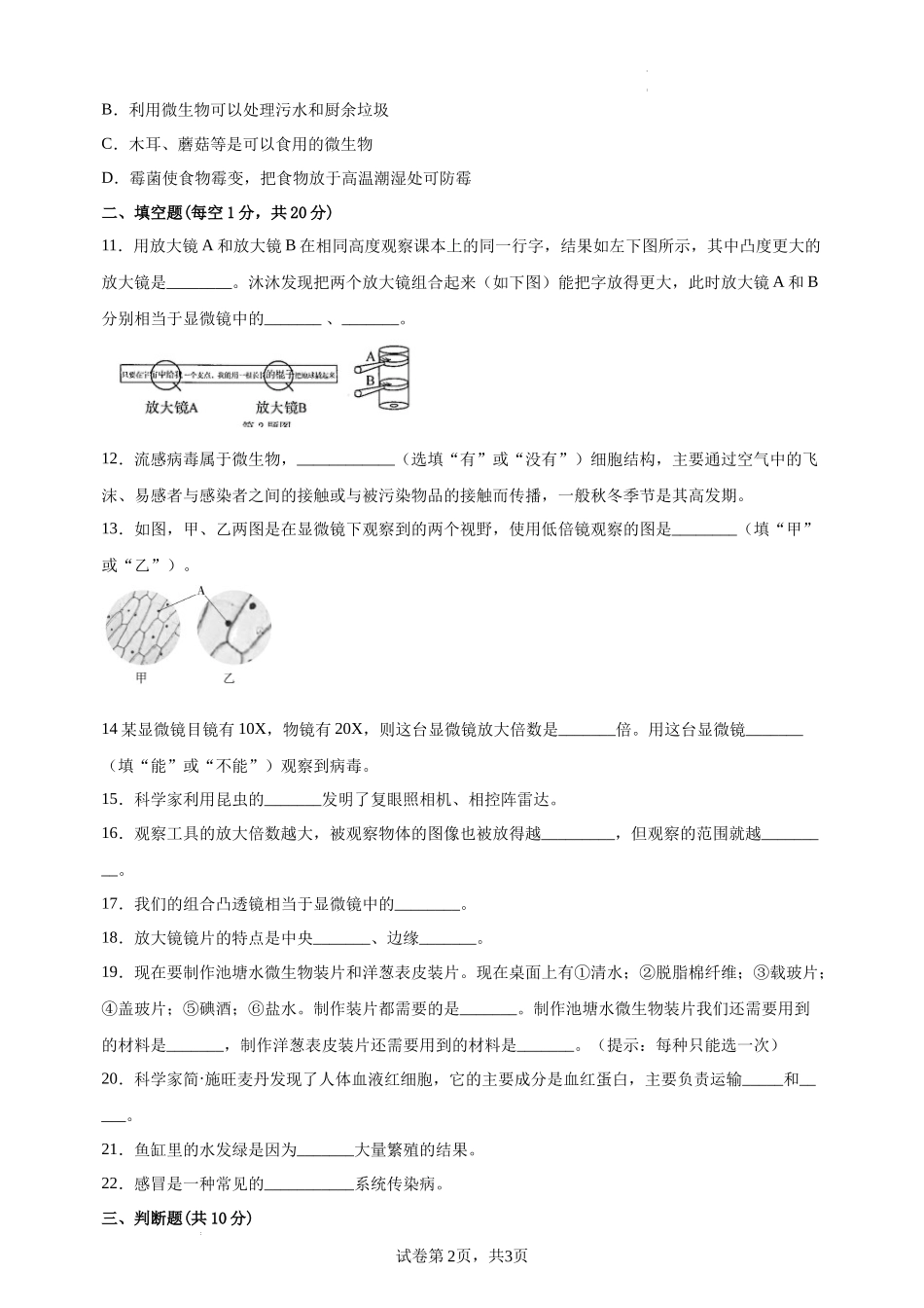 【教科版科学6年级上册高频考卷】第一单元微小世界高频考点测试卷（含答案）（试题）.docx_第2页