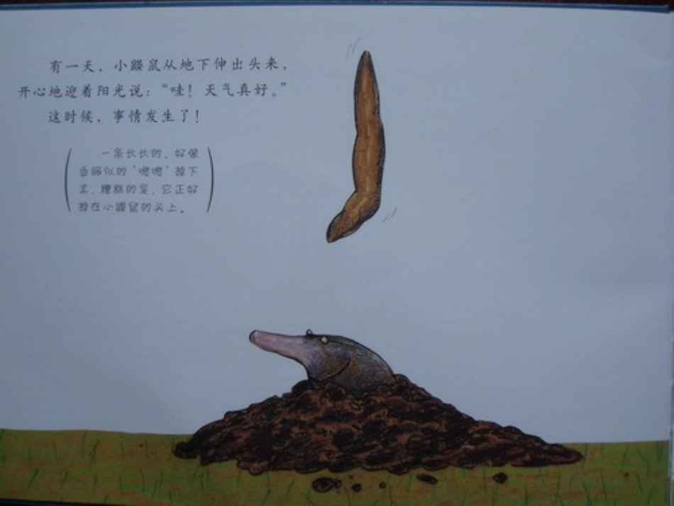 2025年最新儿童绘本故事：是谁嗯嗯在我的头上.ppt_第3页