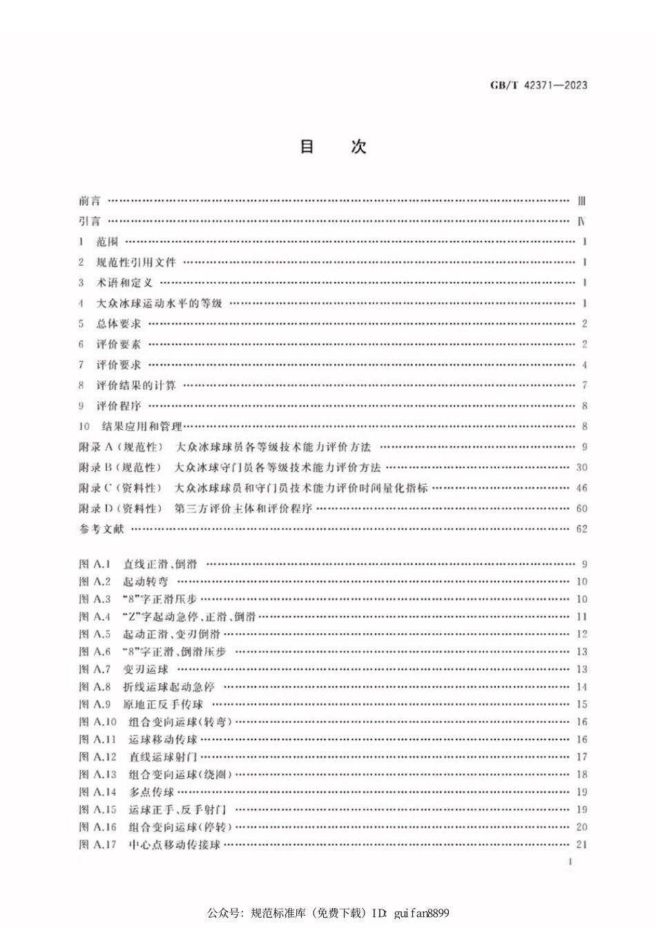 GBT 42371-2023 大众冰球运动水平等级评价规范.pdf_第2页