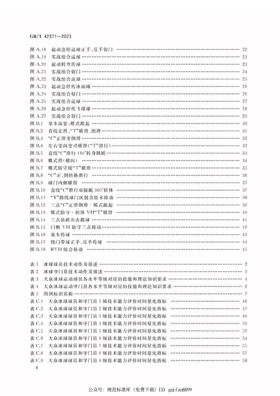 GBT 42371-2023 大众冰球运动水平等级评价规范.pdf_第3页