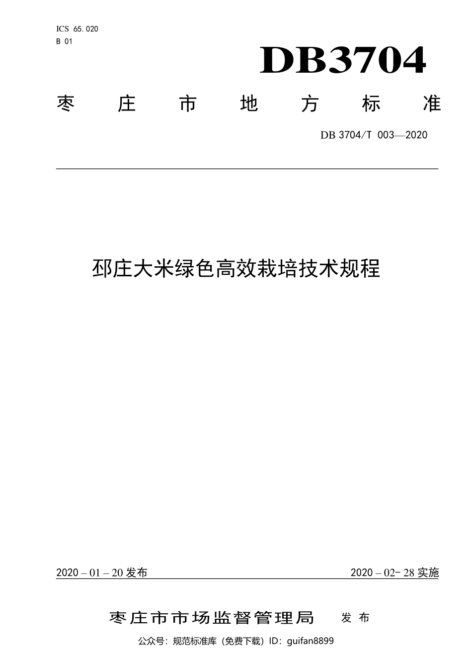山东省地方标准DB37 (2930).pdf_第1页