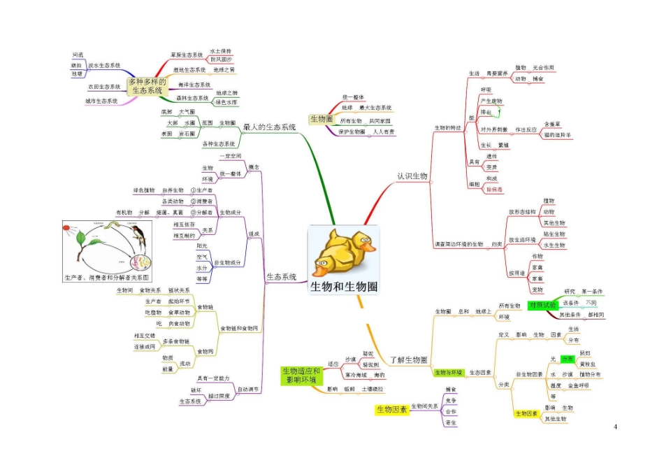 高三知识点总结整理_初中生物-思维导图（7图）.pdf_第1页