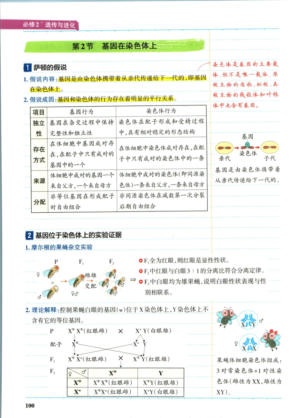 学霸笔记高中生物-4_重点讲解高清文档.pdf_第1页