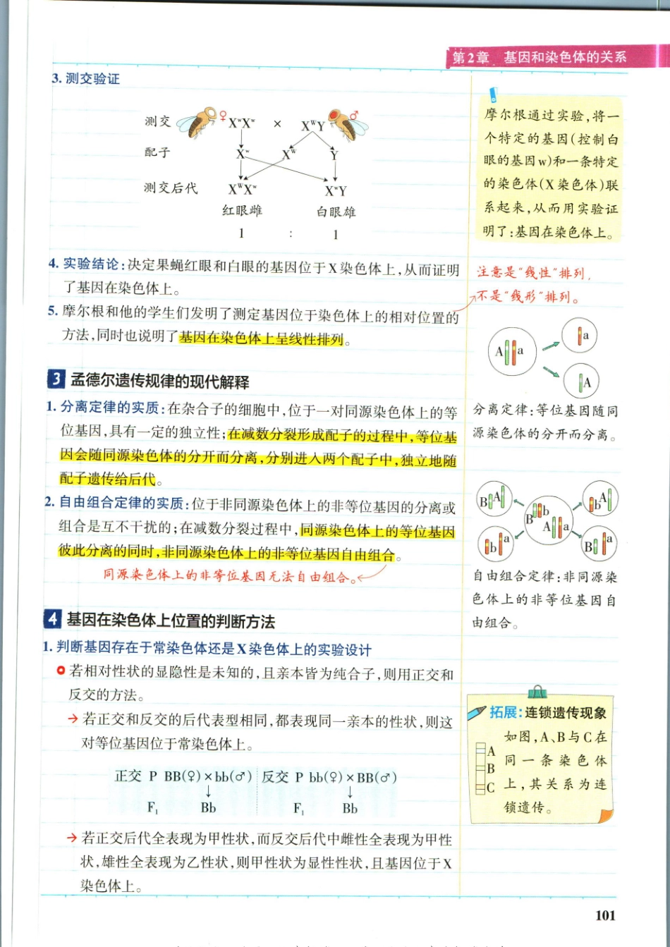 学霸笔记高中生物-4_重点讲解高清文档.pdf_第2页