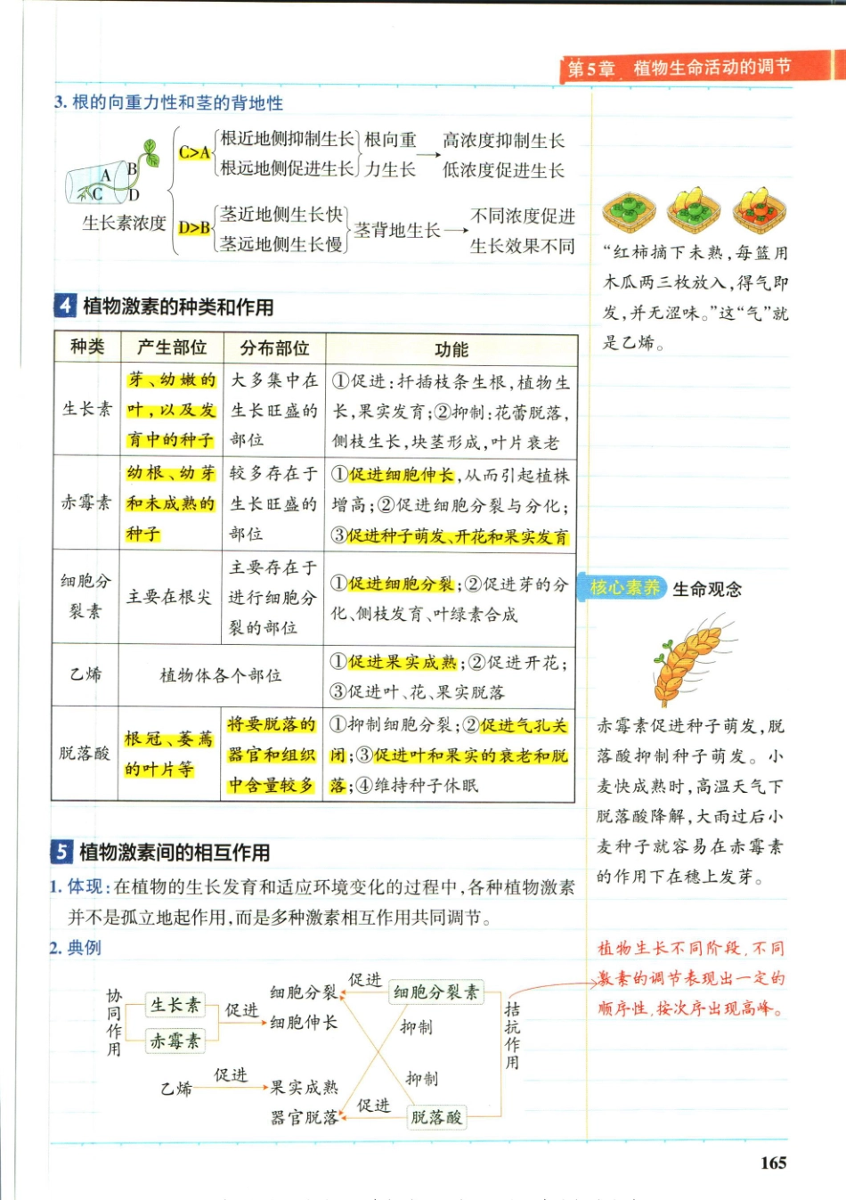 学霸笔记高中生物-6_重点讲解高清文档.pdf_第1页